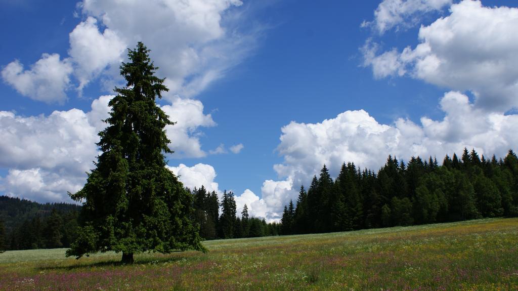 Apartman Na Sumave-Volary Appartement Buitenkant foto